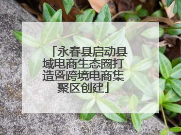 永春县启动县域电商生态圈打造暨跨境电商集聚区创建