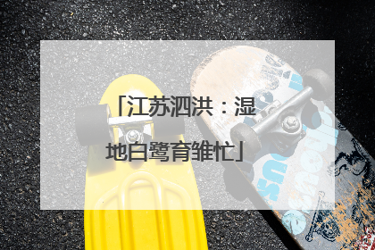 江苏泗洪：湿地白鹭育雏忙