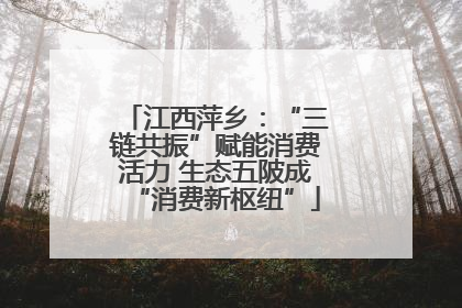 江西萍乡：“三链共振”赋能消费活力 生态五陂成“消费新枢纽”