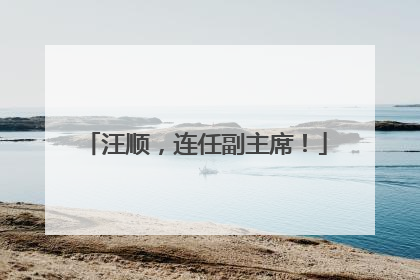 汪顺，连任副主席！