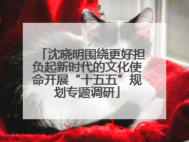 沈晓明围绕更好担负起新时代的文化使命开展“十五五”规划专题调研