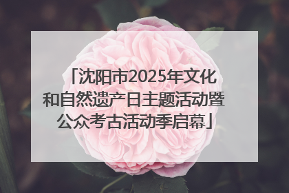 沈阳市2025年文化和自然遗产日主题活动暨公众考古活动季启幕