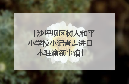 沙坪坝区树人和平小学校小记者走进日本驻渝领事馆