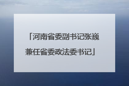 河南省委副书记张巍兼任省委政法委书记