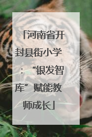 河南省开封县街小学：“银发智库”赋能教师成长