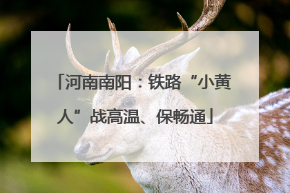 河南南阳：铁路“小黄人”战高温、保畅通