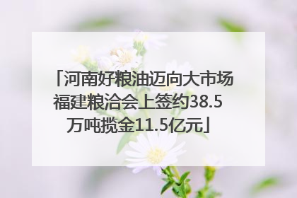 河南好粮油迈向大市场 福建粮洽会上签约38.5万吨揽金11.5亿元