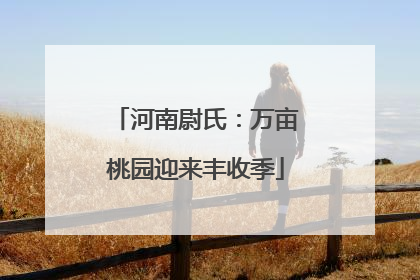 河南尉氏：万亩桃园迎来丰收季