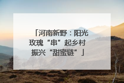 河南新野：阳光玫瑰“串”起乡村振兴“甜蜜链”