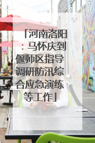 河南洛阳：马怀庆到偃师区指导调研防汛综合应急演练等工作