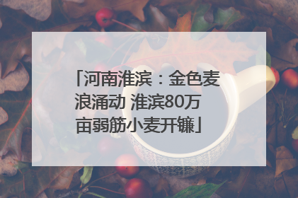 河南淮滨：金色麦浪涌动 淮滨80万亩弱筋小麦开镰