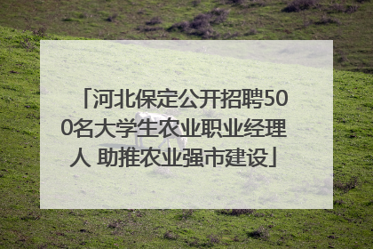 河北保定公开招聘500名大学生农业职业经理人 助推农业强市建设