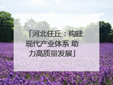 河北任丘：构建现代产业体系 助力高质量发展