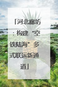 河北廊坊：构建“空铁陆海”多式联运新通道