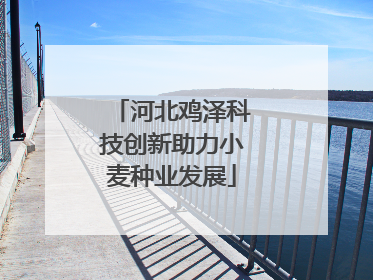 河北鸡泽科技创新助力小麦种业发展