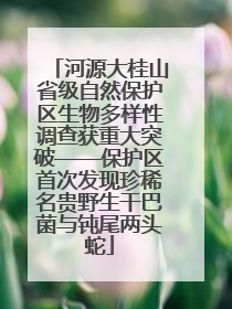 河源大桂山省级自然保护区生物多样性调查获重大突破——保护区首次发现珍稀名贵野生干巴菌与钝尾两头蛇