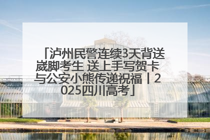 泸州民警连续3天背送崴脚考生 送上手写贺卡与公安小熊传递祝福丨2025四川高考