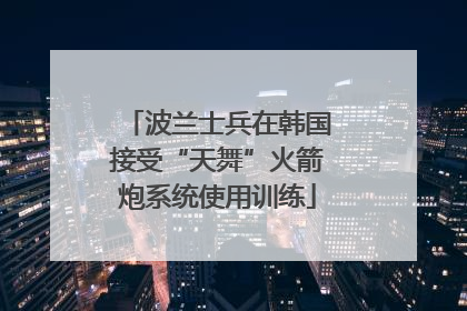 波兰士兵在韩国接受“天舞”火箭炮系统使用训练
