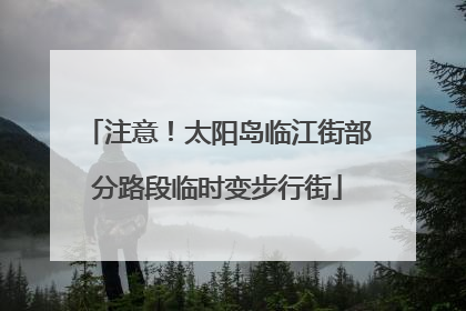 注意！太阳岛临江街部分路段临时变步行街