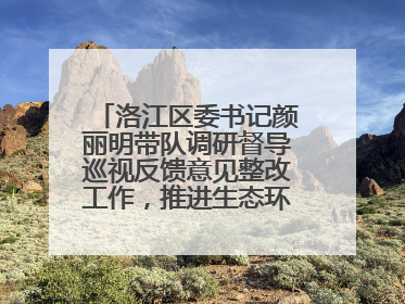 洛江区委书记颜丽明带队调研督导巡视反馈意见整改工作，推进生态环境保护建设