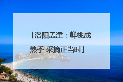 洛阳孟津：鲜桃成熟季 采摘正当时
