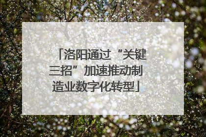 洛阳通过“关键三招”加速推动制造业数字化转型