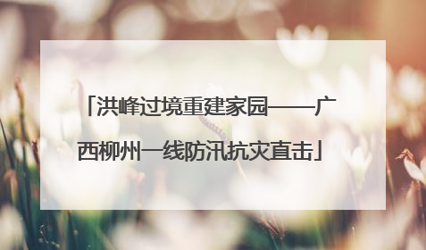 洪峰过境重建家园——广西柳州一线防汛抗灾直击