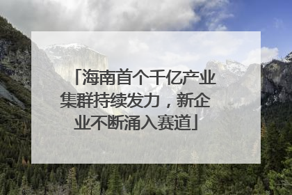 海南首个千亿产业集群持续发力，新企业不断涌入赛道