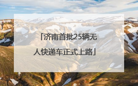 济南首批25辆无人快递车正式上路