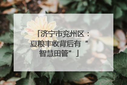 济宁市兖州区：夏粮丰收背后有“智慧田管”