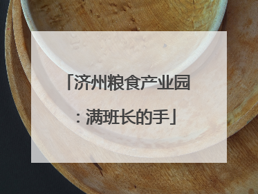 济州粮食产业园：满班长的手
