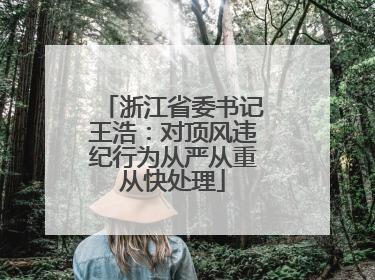 浙江省委书记王浩：对顶风违纪行为从严从重从快处理