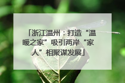 浙江温州：打造“温暖之家”吸引两岸“家人”相聚谋发展
