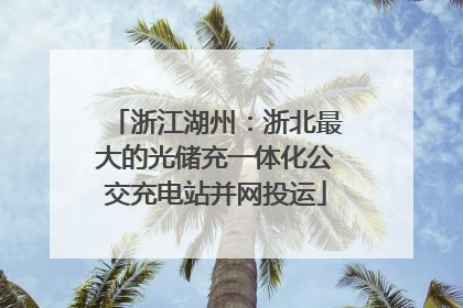 浙江湖州：浙北最大的光储充一体化公交充电站并网投运