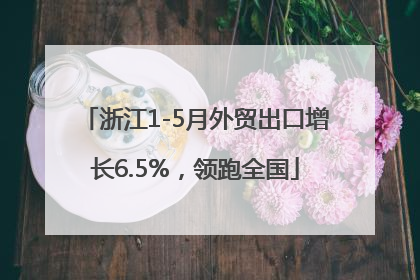 浙江1-5月外贸出口增长6.5%，领跑全国