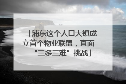 浦东这个人口大镇成立首个物业联盟，直面“三多三难”挑战