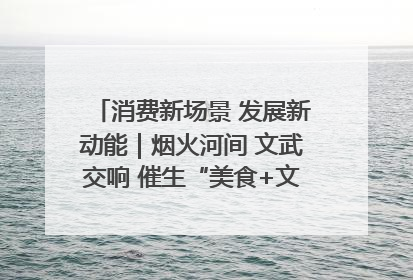 消费新场景 发展新动能｜烟火河间 文武交响 催生“美食+文化”消费新场景