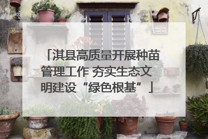 淇县高质量开展种苗管理工作 夯实生态文明建设“绿色根基”