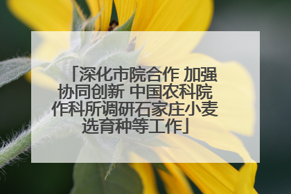 深化市院合作 加强协同创新 中国农科院作科所调研石家庄小麦选育种等工作