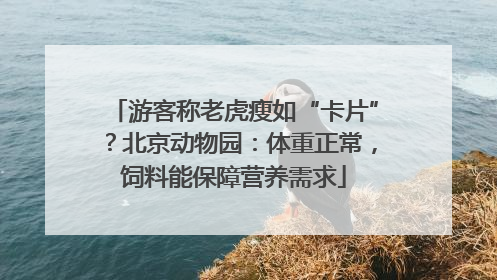 游客称老虎瘦如“卡片”？北京动物园：体重正常，饲料能保障营养需求