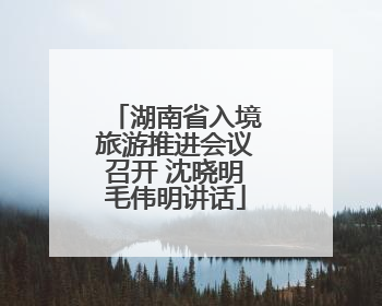 湖南省入境旅游推进会议召开 沈晓明毛伟明讲话