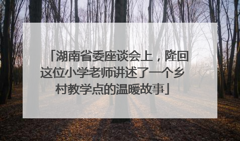 湖南省委座谈会上，隆回这位小学老师讲述了一个乡村教学点的温暖故事