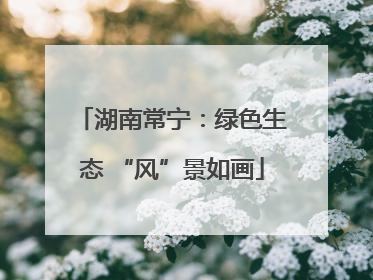 湖南常宁：绿色生态 “风”景如画