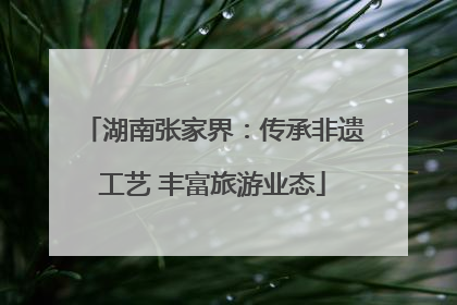 湖南张家界：传承非遗工艺 丰富旅游业态