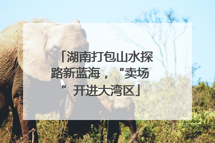 湖南打包山水探路新蓝海，“卖场”开进大湾区