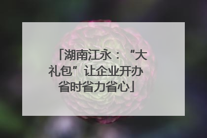 湖南江永：“大礼包”让企业开办省时省力省心