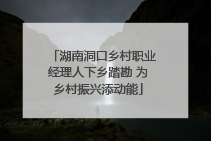 湖南洞口乡村职业经理人下乡踏勘 为乡村振兴添动能
