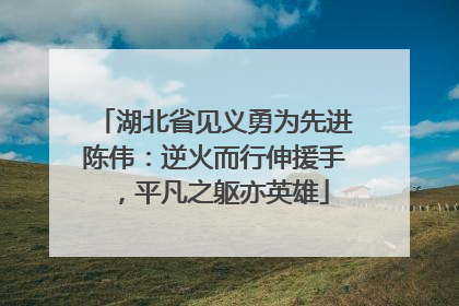 湖北省见义勇为先进陈伟：逆火而行伸援手，平凡之躯亦英雄