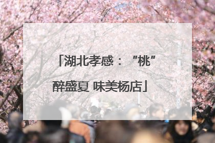 湖北孝感：“桃”醉盛夏 味美杨店