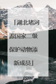 湖北堵河源国家二级保护动物添新成员